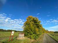 Hundeauslaufgebiet-Naturlehrpfad in Gerach-Bild
