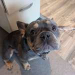 Ersteller:in Pia Profilbild