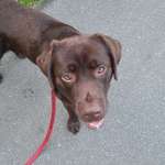 Ersteller:in Christian Profilbild