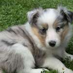 Ersteller:in Monika Profilbild