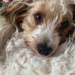 Ersteller:in Dörte Profilbild