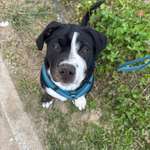 Ersteller:in Janina Profilbild