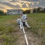 Stehenbleiben-Beitrag-Bild