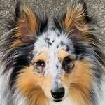 Ersteller:in Michaela Profilbild