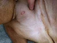 Was kann das sein-Beitrag-Bild