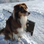 Ersteller:in H. Profilbild