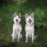 Ersteller:in Miriam Profilbild