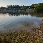 Hundestrand-Hundestrand FKK-Strand Talsperre Pöhl / Helmsgrün-Bild