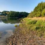 Hundestrand-Hundestrand FKK-Strand Talsperre Pöhl / Helmsgrün-Bild