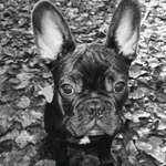 Ersteller:in Eric Profilbild