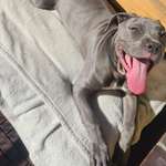 Ersteller:in Silvana Profilbild