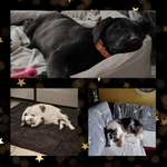 Ersteller:in Cindy Profilbild