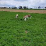 Ersteller:in Holger Profilbild