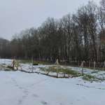 Hundeauslaufgebiet-Hundeauslauf Golfclub Mudau-Bild