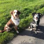 Ersteller:in Sarah Profilbild