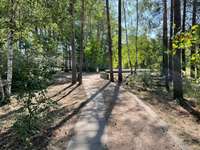 Hundeauslaufgebiet-Potsdamer Allee-Bild