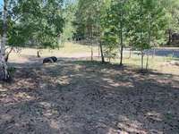 Hundeauslaufgebiet-Potsdamer Allee-Bild