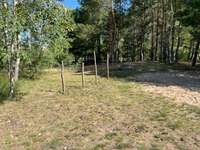 Hundeauslaufgebiet-Potsdamer Allee-Bild