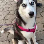 Ersteller:in Sabine Profilbild