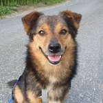 Ersteller:in Mona Profilbild