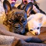 Ersteller:in Jette Profilbild