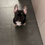 Ersteller:in Miriam Profilbild