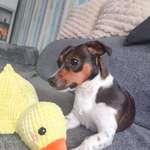 Ersteller:in Nicole Profilbild