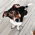 Ersteller:in Nicole Profilbild