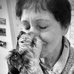 Ersteller:in Petra Profilbild