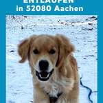 Suchmeldung-Shorty-Bild