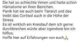 Cushing - Wer hat Erfahrungen?-Beitrag-Bild