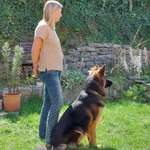 Ersteller:in Roswitha Profilbild