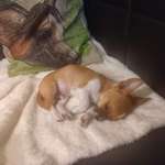 Ersteller:in Sonja Profilbild