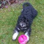 Ersteller:in Susanne Profilbild