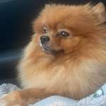 Ersteller:in Chico Profilbild