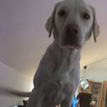 Ersteller:in Tania Profilbild