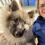 Ersteller:in Carola Profilbild