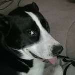 Ersteller:in Sweety Profilbild