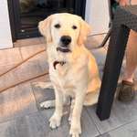 Ersteller:in Jenny Profilbild