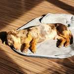 Ersteller:in Jana Profilbild