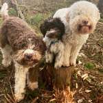 Ersteller:in Esther Profilbild