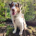 Ersteller:in Michaela Profilbild