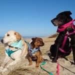 Ersteller:in Sina Profilbild