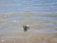 Badeplätze in Fürth und näherer Umgebung-Beitrag-Bild