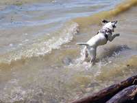 Badeplätze in Fürth und näherer Umgebung-Beitrag-Bild