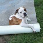 Ersteller:in Dana Profilbild