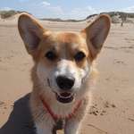 Ersteller:in Jennifer Profilbild