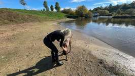 Hundeauslaufgebiet-Hundestrand Viereth-Bild