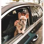 Ersteller:in Sven Profilbild