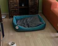 Verkaufe ein sehr gut erhaltenes Outdoor Hundebett in Grau/Türkis, Gr. 90/80/20 cm.-Beitrag-Bild